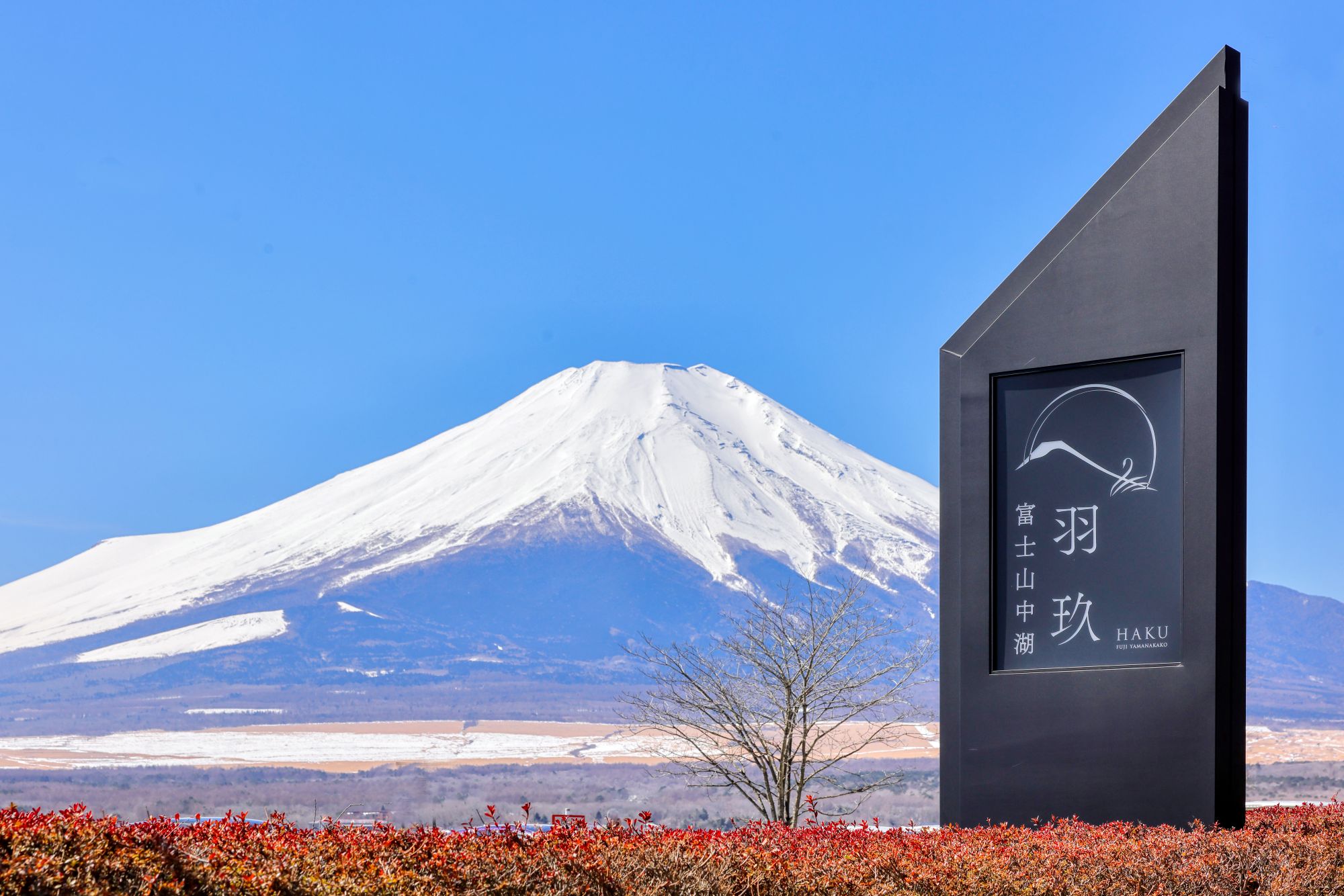 HAKU FUJI 山中湖